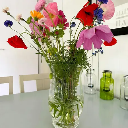 By Kattegat And Hald Σπίτι διακοπών *