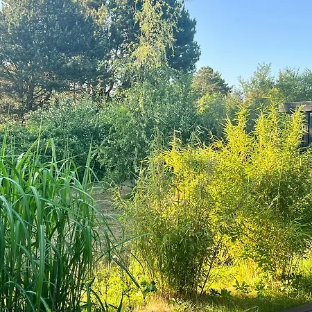 By Kattegat And Hald Hundested