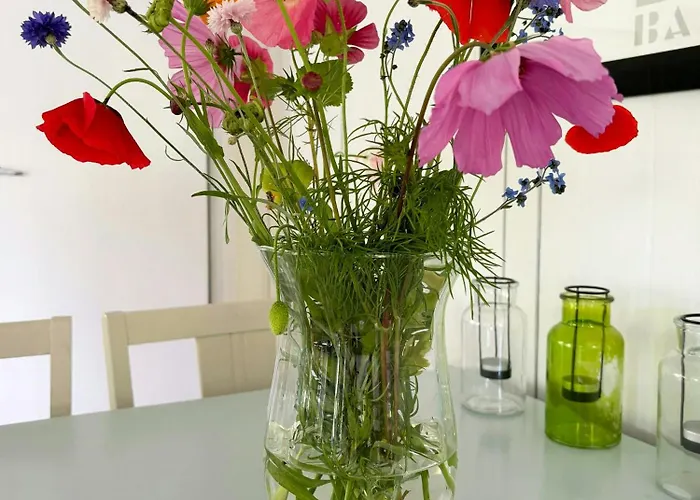 By Kattegat And Hald Ferienhaus *