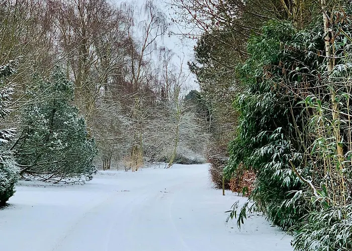 Ferienhaus By Kattegat And Hald Hundested