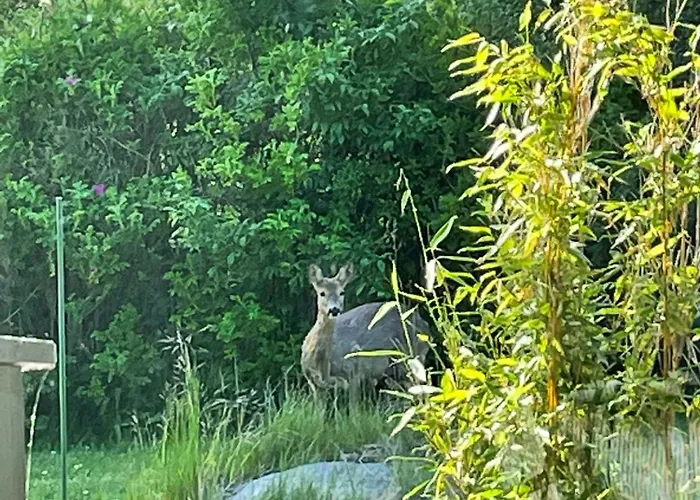 By Kattegat And Hald *