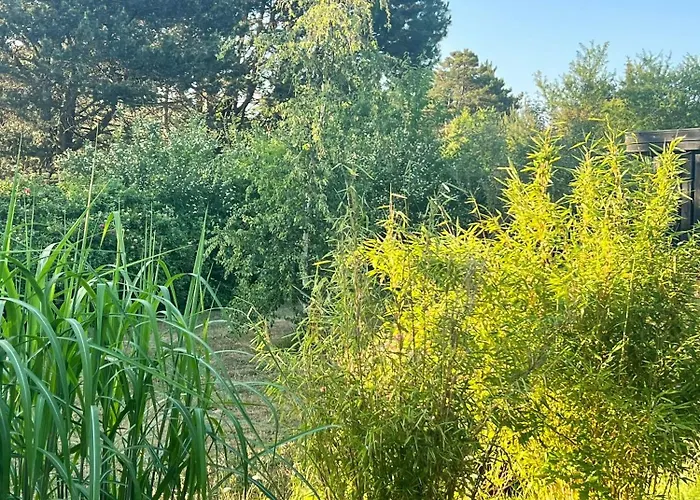 By Kattegat And Hald Hundested